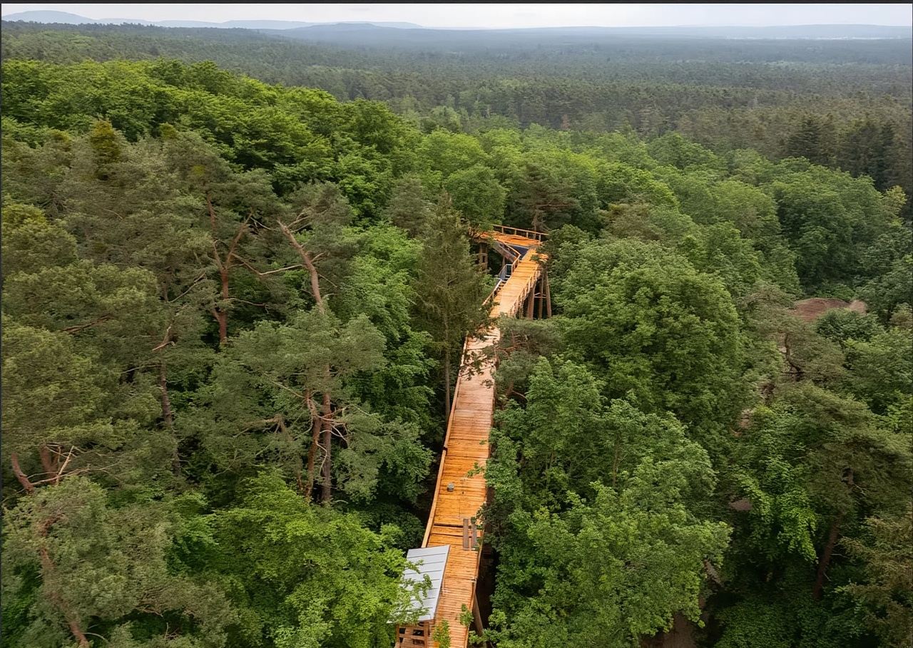 ทัวร์ 1 วัน ปราสาทหลวงนูเรมเบิร์ก + โบสถ์แม่พระนูเรมเบิร์ก + สวนสัตว์นูเรมเบิร์ก