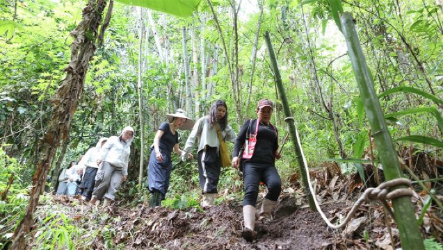[Mozhuo Village Hiking] 1-day Rainforest Hiking Tour in Jinuo Mountain Mozhuo Village, Xishuangbanna, Yunnan