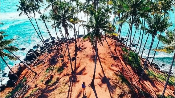 Sri Lanka|Galle Altstadt + Stelzenfischer + Kokosnussbaum-Schaukel + Sonnenuntergang in der Kokospalmenplantage #Privattransfer & Individualreise