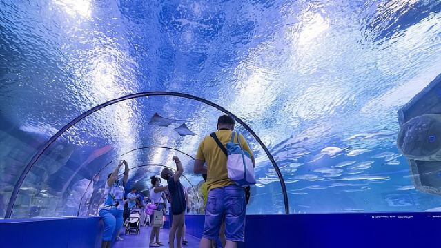 Antalya: Aquarium, Wax Museum & Combo Package Options