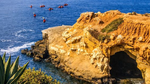 La Jolla: Full-Day Snorkel Gear Rental with Wetsuit Option