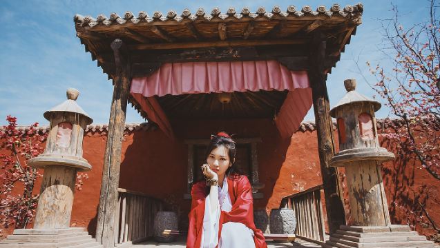 寧夏旅遊+西夏陵+賀蘭山岩畫+鎮北堡西部影城1日遊