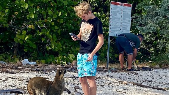 Miami Boat Tour to Raccoon Island & Sandbar (Private 2 / 4 Hours)