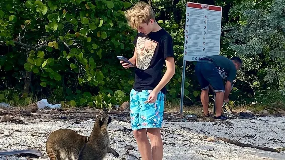 Miami Boat Tour to Raccoon Island and Sandbar (Private 2 or 4 Hr)