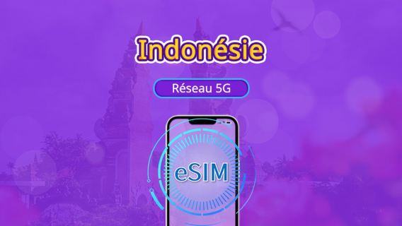 Indonésie | eSIM 4G/5G | Forfait journalier/Forfait de données | Facturation sur 24 heures | Durée de 1 à 30 jours | Code QR