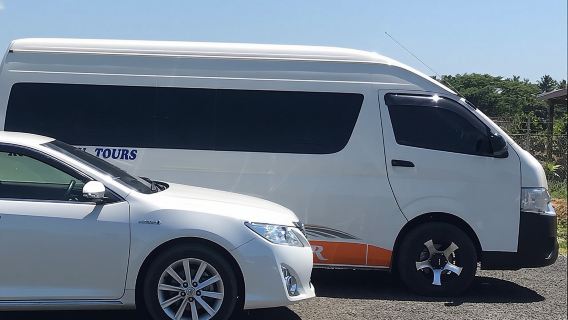 Denarau Hotels to Nadi Airport (Private Departure Transfer)