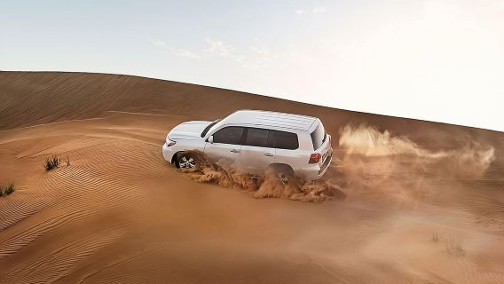 Red Dune Desert Safari with BBQ Dinner, Sand Boarding Dance Shows