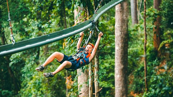 Чиангмай: однодневный тур в тарзанка»