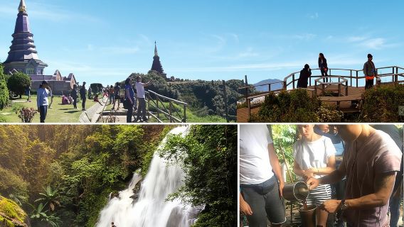 Tagesausflug zum Doi Inthanon: Zwillingspagoden, leichte Wanderung, Kaffeeplantage