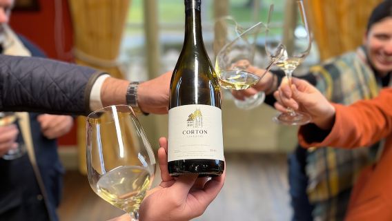 Burgundy Grand Crus Route Day Tour - 14 Wines Tastings in Domains