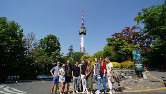 Tour privato premium della DMZ e (ponte sospeso o torre N) con pranzo incluso