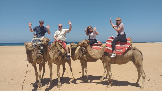 Private Ganztagestour nach Tanger ab Kreuzfahrtschiff (all inclusive)