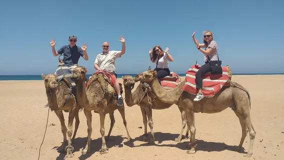 Tur Pribadi Sehari Penuh Tangier Dari Kapal Pesiar termasuk semua