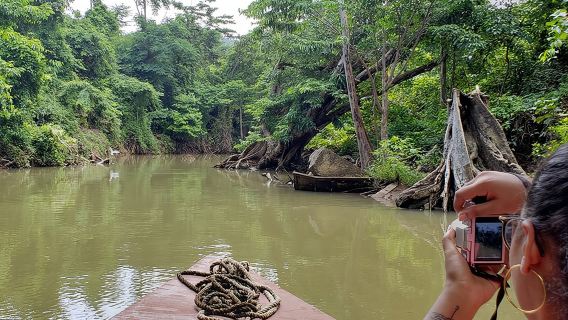 Indian River, Cold Soufriere & Fort Shirley (Northern Excursion)