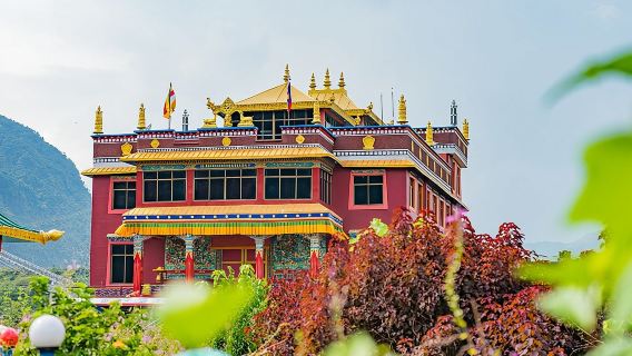 Afternoon Tibetan Cultural Tour to Tibetan Settlements Pokhara