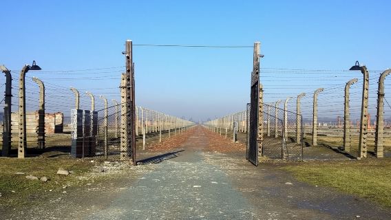 Auschwitz-Birkenau & Salt Mine in One Day and Ebook