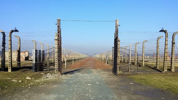 Auschwitz-Birkenau & Salt Mine in One Day and Ebook