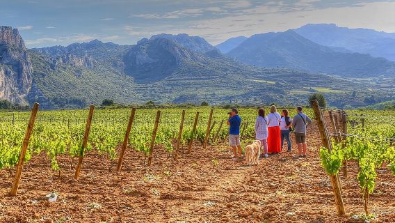 Rioja-Weintour wie ein Einheimischer