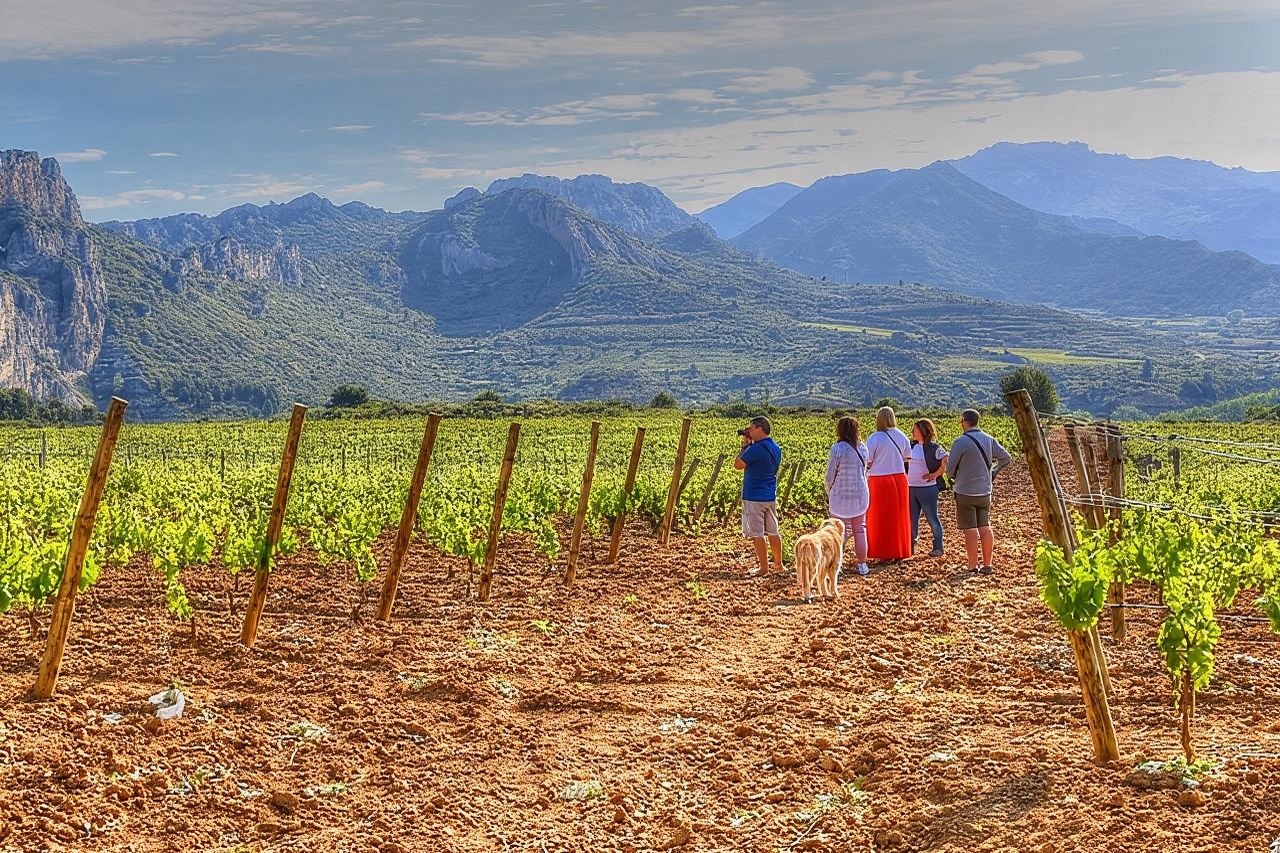 Tour enologico "La Rioja come un nativo"