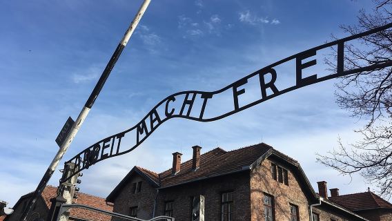 Tour di un giorno ad Auschwitz-Birkenau da Breslavia