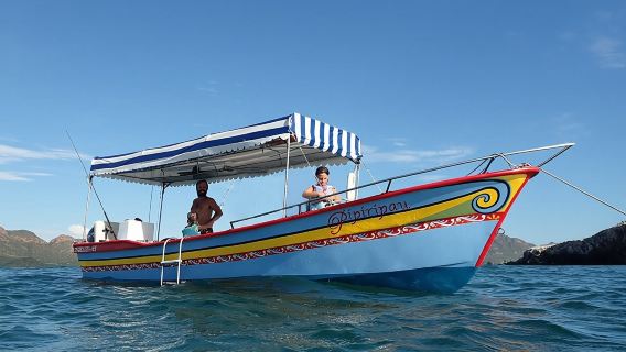 Boating along the coastline of San Carlos with a Marine Biologist