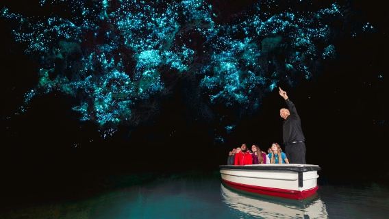 紐西蘭奧克蘭懷托摩螢火蟲洞一日遊【普通話專車（行程可調整）】