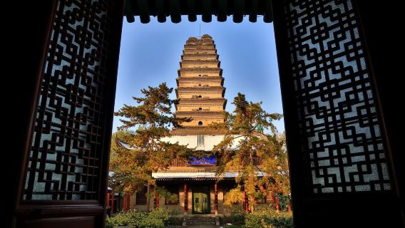 Lịch sử Tây An|Bảo tàng Tây An + Kịch Tần + Đại Đường Phù Dung + thuyết minh hướng dẫn viên + đưa đón Y$