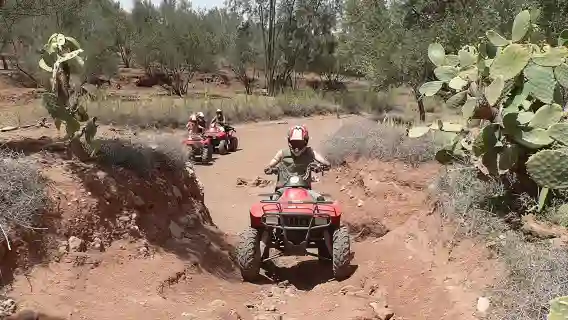 Marrakech quad adventure