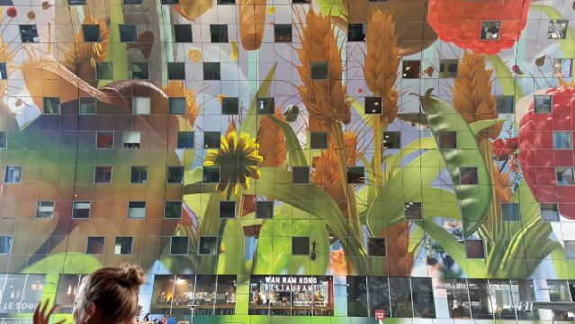 Rotterdam Bike Tour - all the Highlights