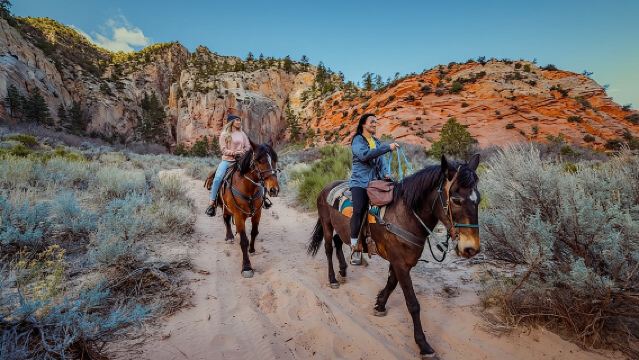 Small-Group East Zion White Mountain Horseback Ride