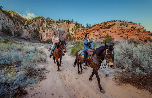 小型東錫安國家公園白馬山騎馬團