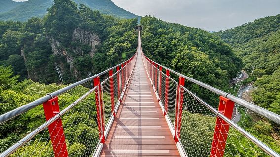 Privé DMZ-vredestour: 3e invasietunnel en hangbrug