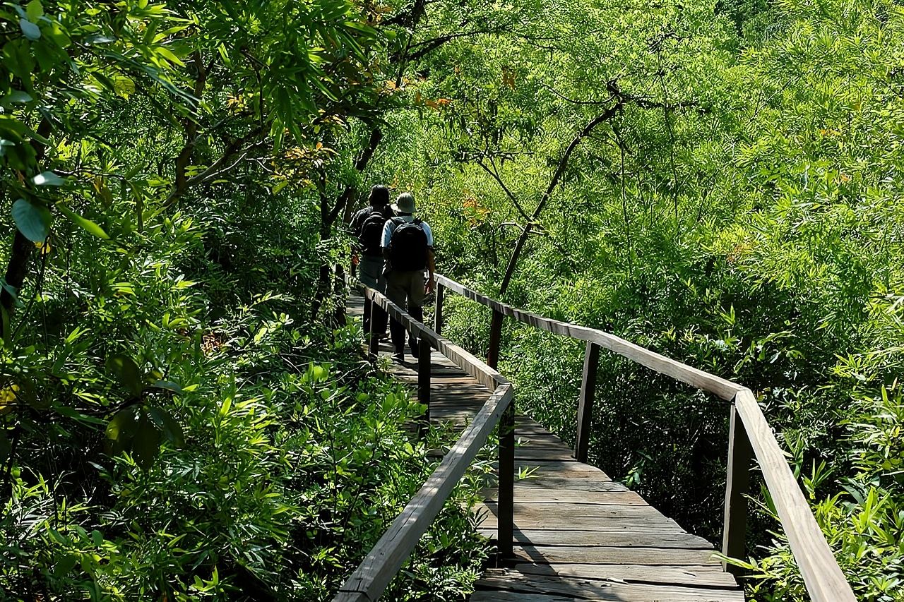 Escursione naturalistica di un giorno a Nanka Tian|Partenza da Ho Chi Minh