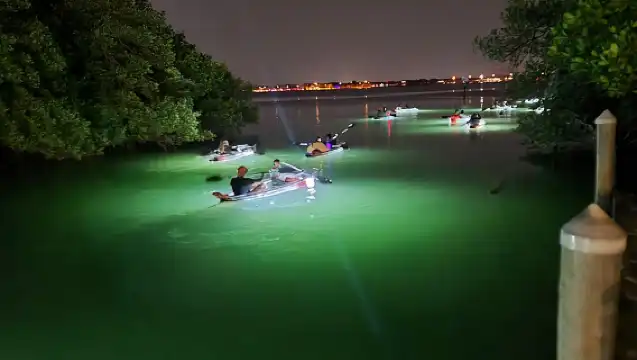  Anna Maria Island - Clear Kayak LED Night Glass Bottom Tour 