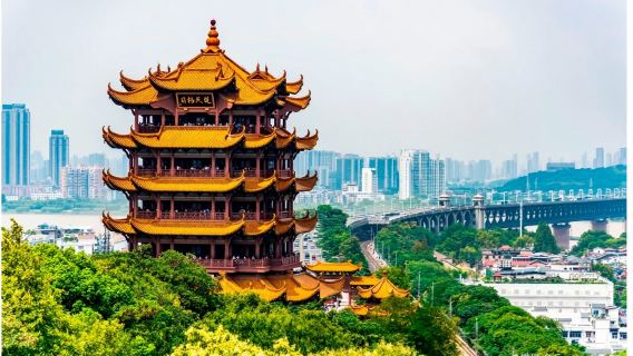 武漢黃鶴樓+湖北省博物館+武漢大學/東湖/長江大橋/戶部巷/糧道街 一對一導遊服務私人高端訂製不拼團