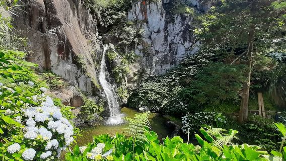 เซา มิเกล อาโซเรส: เดินป่าและดำน้ำตื้นในป่ากับคนท้องถิ่น