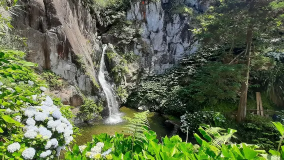 São Miguel Azores: Hike and Snorkeling into the wild with a local