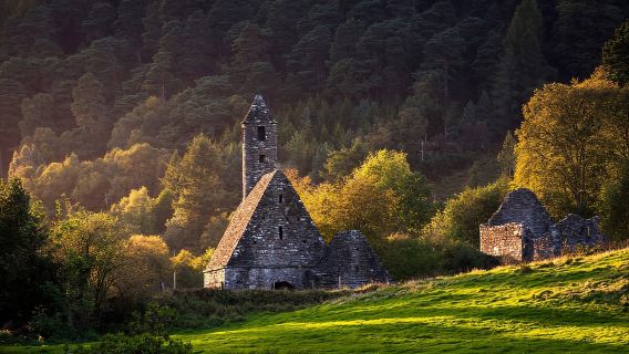 Dublin: Wicklow, Kilkenny, Glendalough & Sheepdog Tour