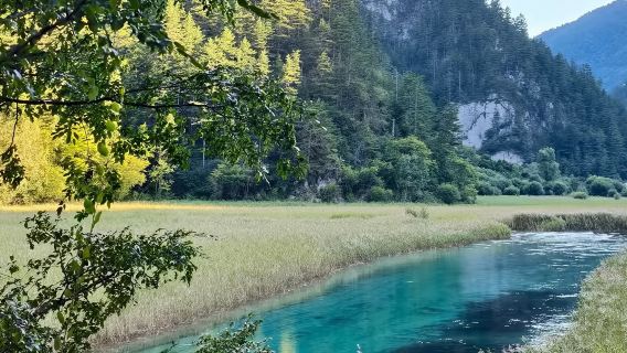Estación Huanglong Jiuzhai - Servicios de traslado a Jiuzhaigou|Horario y tipo de vehículo opcionales + entrada y autobús turístico de Jiuzhaigou