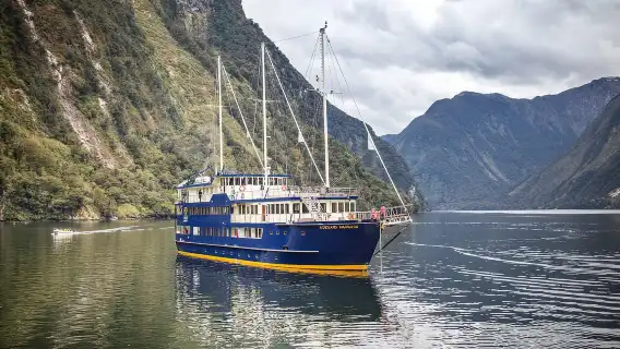 From Queenstown: Doubtful Sound Wilderness Day Trip