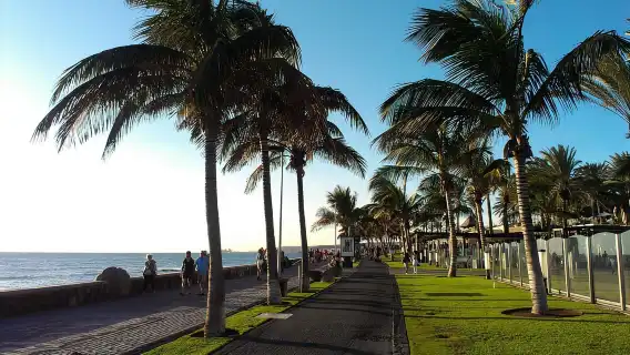 Visit Maspalomas : Rent from 1 till 4 hours e-Scooter 2 seat