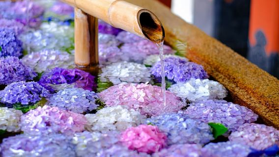 Tour en autobús de 1 día a Kamakura y Enoshima desde Tokio