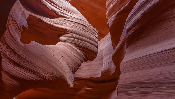 Las Vegas: tour VIP per piccoli gruppi di Antelope Canyon e Horseshoe Bend