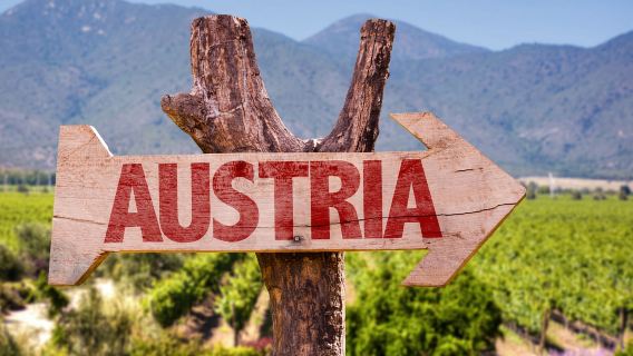 Вена: винный тур с дегустацией вин с экспертом по винам