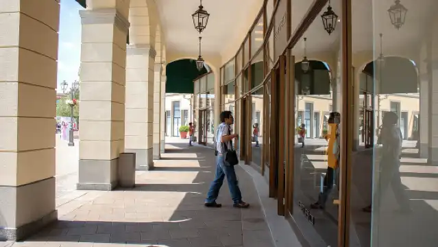 Milan: Serravalle Designer Outlet Roundtrip Bus Transfer