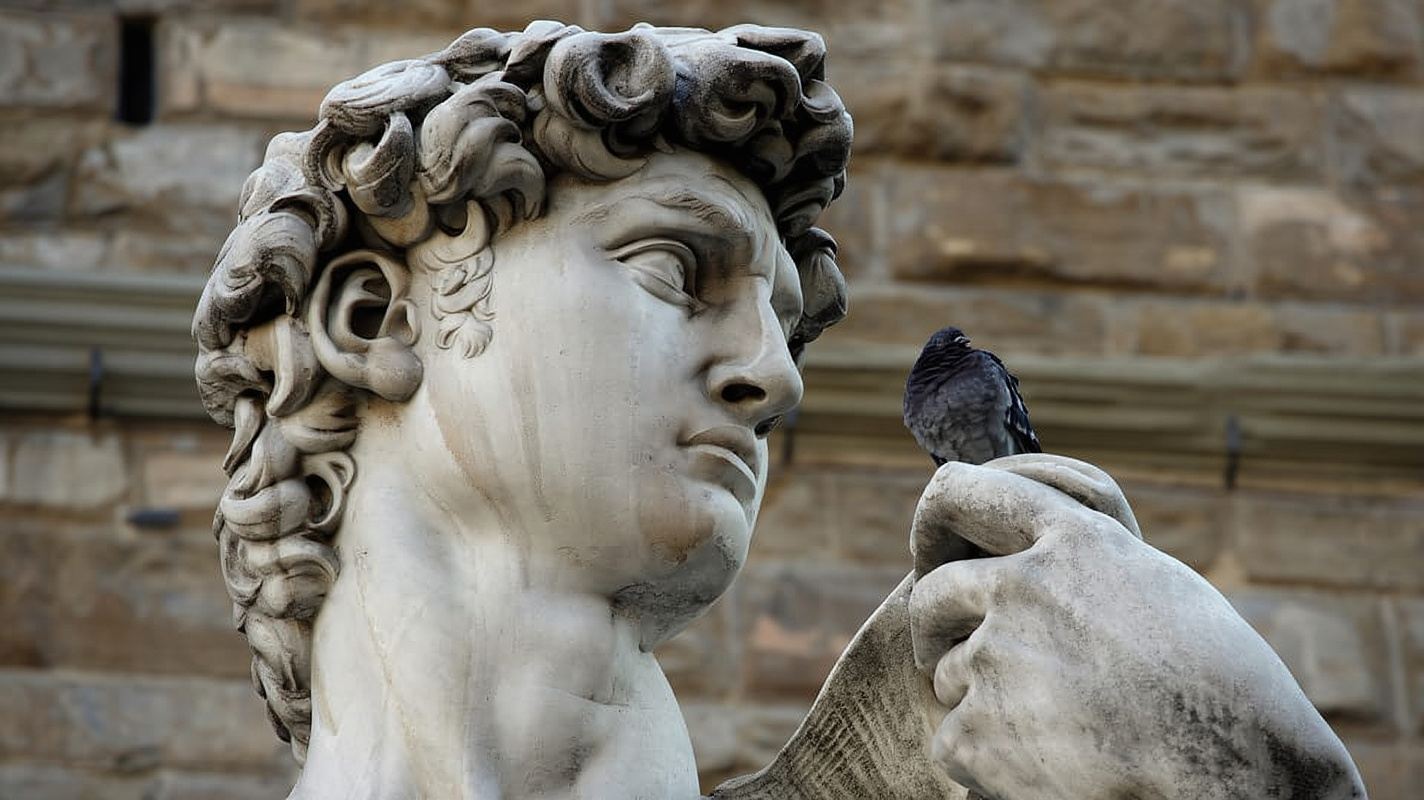 Salta la fila: tour organizzati della Galleria dell'Accademia