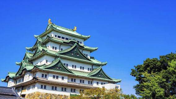 Lawatan Tersuai Peribadi Nagoya bersama Jurupandu Tempatan