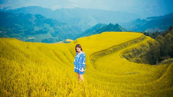 【私人導覽·包車】桂林龍脊梯田-平安梯田+黃洛瑤寨一日遊
