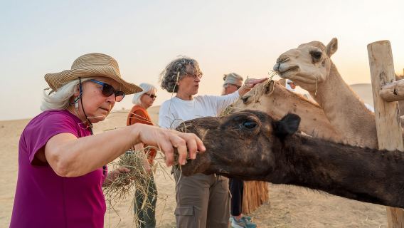 Dubai: Al Marmoom Oasis Camp Experience with Bedouin Dinner