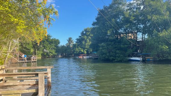 Entdecken Sie Ilha da Gigoia: ein Inselabenteuer